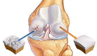 The reasons for the development of articulation of the joints
